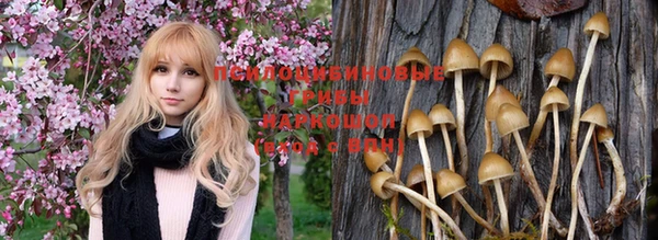 эйфоретик Дмитровск