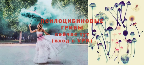 каннабис Дмитриев
