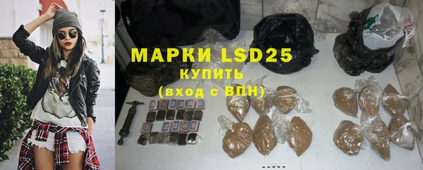 apvp Ельня