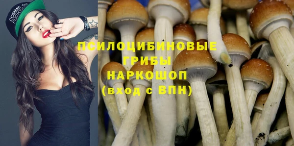 каннабис Дмитриев
